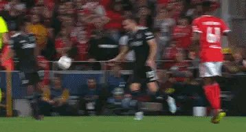 1666733152813005010.gif IMG_1068.gif